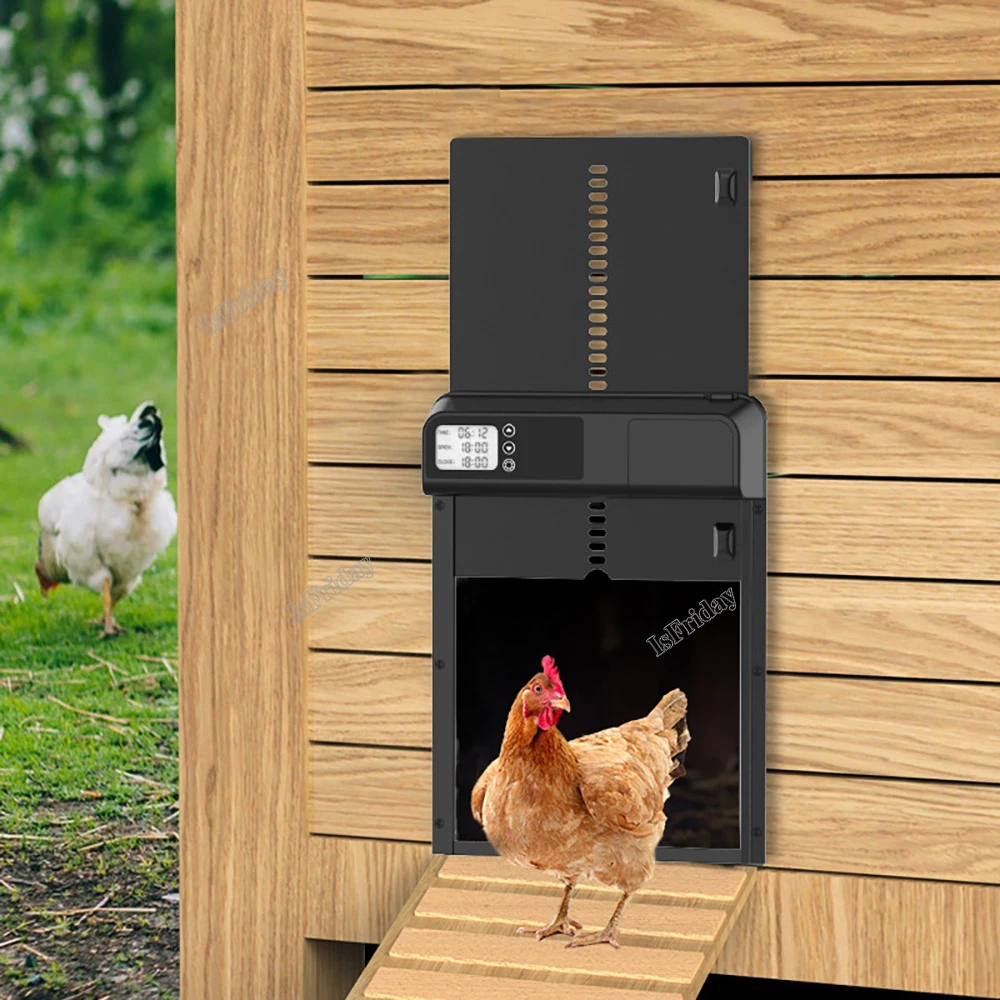 Zamanlayıcı otomatik tavuk kümesi kapı motoru ışığa duyarlı tavuk ev kapısı  su geçirmez evcil kafesleri kapı açık çiftlik kanatlı kapısı - AliExpress