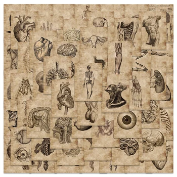 🫀 56-Piece Human Anatomy & Sacred Symbol Sticker Set – Heart, Skull, and Internal Organs 1