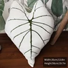 plant-pillow-i
