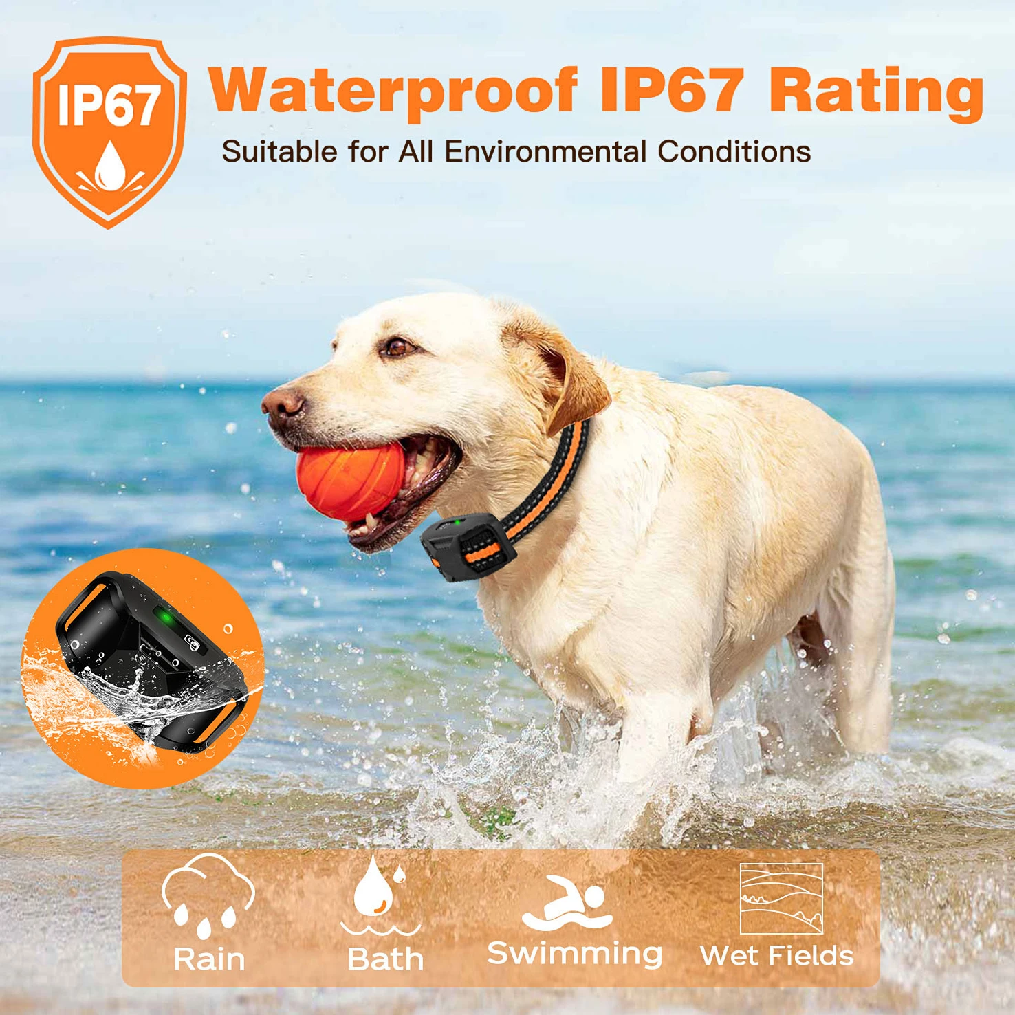 3300ft Remote Dog Training Collar