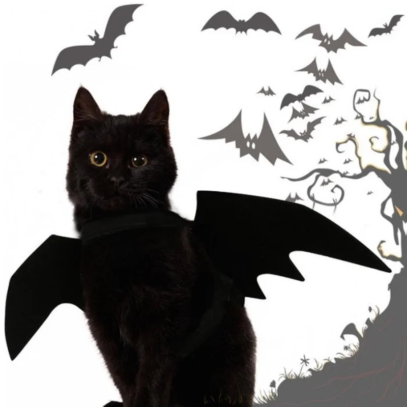 Hunde Halloween Kostüm – Fledermaus Flügel Für Katze & Hund | Verstellbar, Weicher Filz, Größenverstellbar (S–XL)
