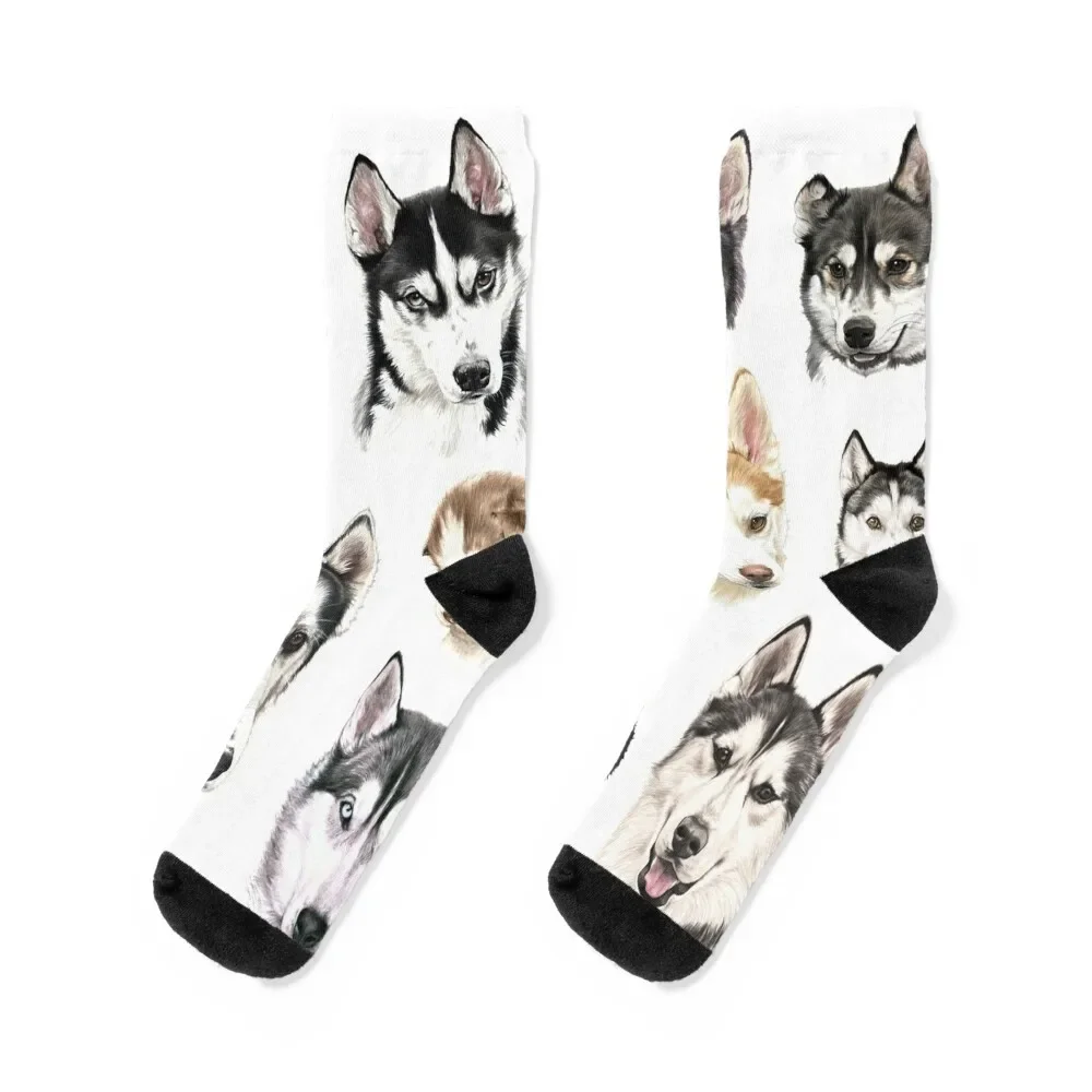 Husky collage Socks christmas stocking hip hop Socks Woman Men's