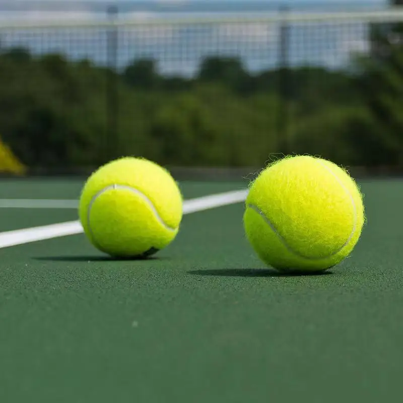 Tennis Balls 10 Pack Training Practice High Elasticity Pet Dog Playing HappyFun tennis balls