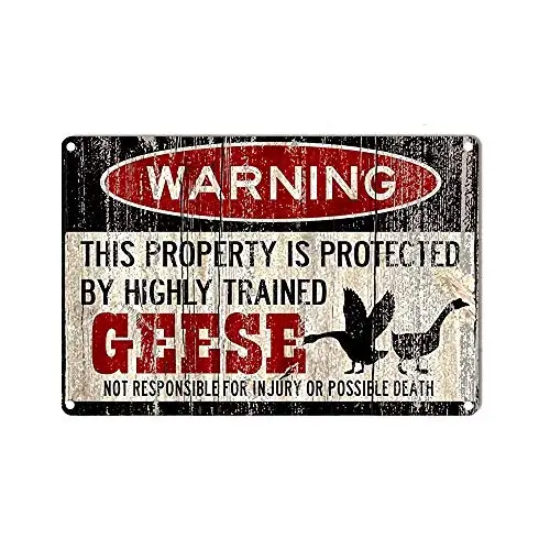 

kengtou Warning Tin Signs,Warning Ducks Vintage Metal Tin Sign Wall Decor for Farm,Restaurants,Kitchen 12x8 Inch