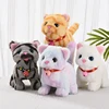Cute Electronic Plush Cat Toy Can Walking Meowing Wagging Tail Stuffed Cat Doll Child Interactive Toys For Birthday Gift 3