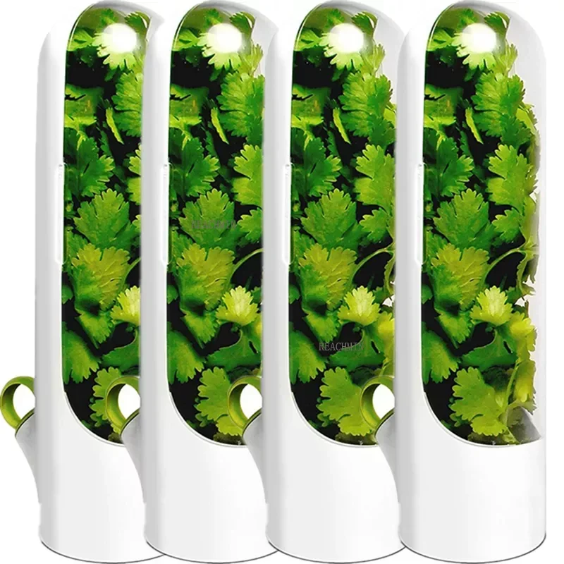 2021 Premium Herb Keeper And Herb Storage Container Keeps Greens And