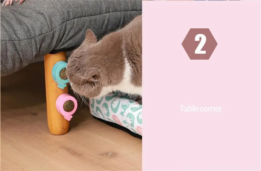 Boules à La Menthe Pour Chat - 10 Cm, Jouets à Lécher, Sains Pour Les Dents, Arôme Naturel - 3