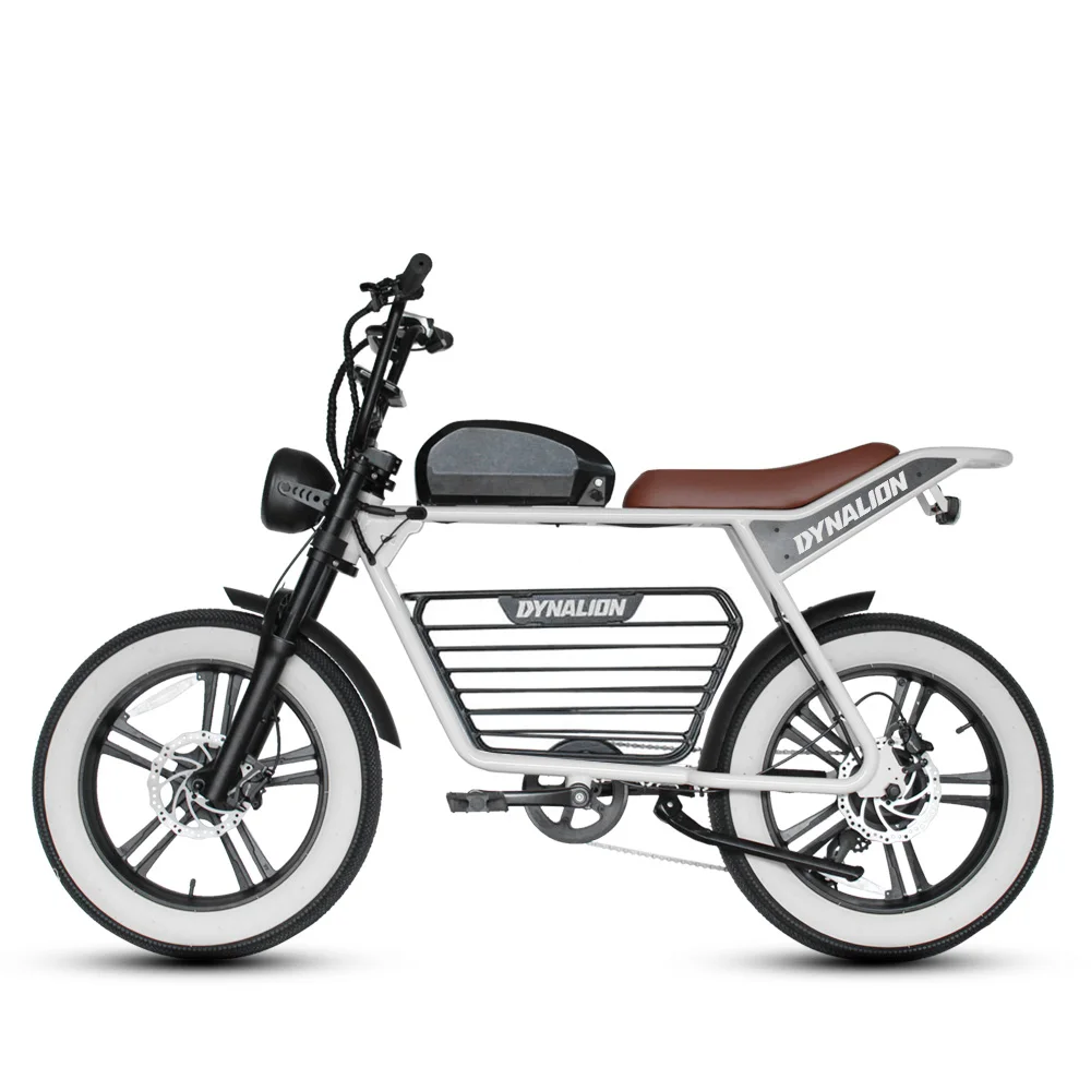 73 Fat Tire Ebike Green Super Power Pedal Due 2 Posti Seat Retro Electric Bike Vintage Beach Cruiser Bicicletta Elettrica Personalizzata