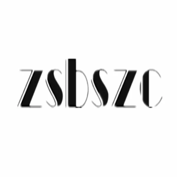 Zsbszc Clothing Accessories Customization Store