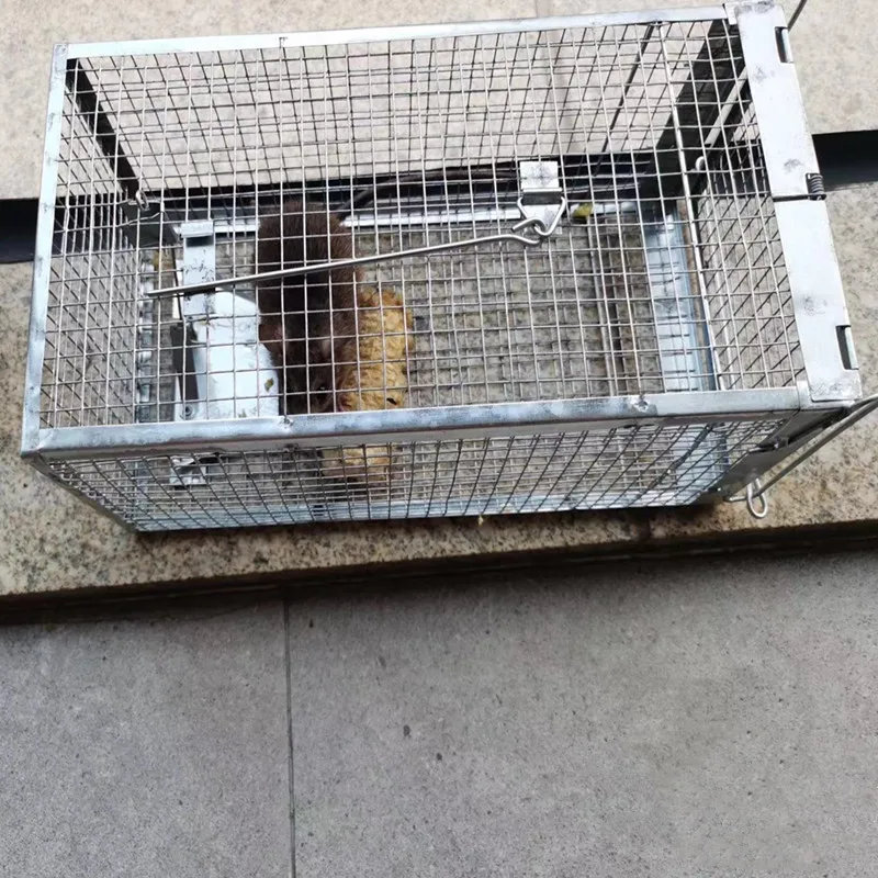 1Pc Home Gardening Mouse Trap Surrounded Galvanized Material Mouse Trap Pest Control High Sensitivity Capture Large Cage