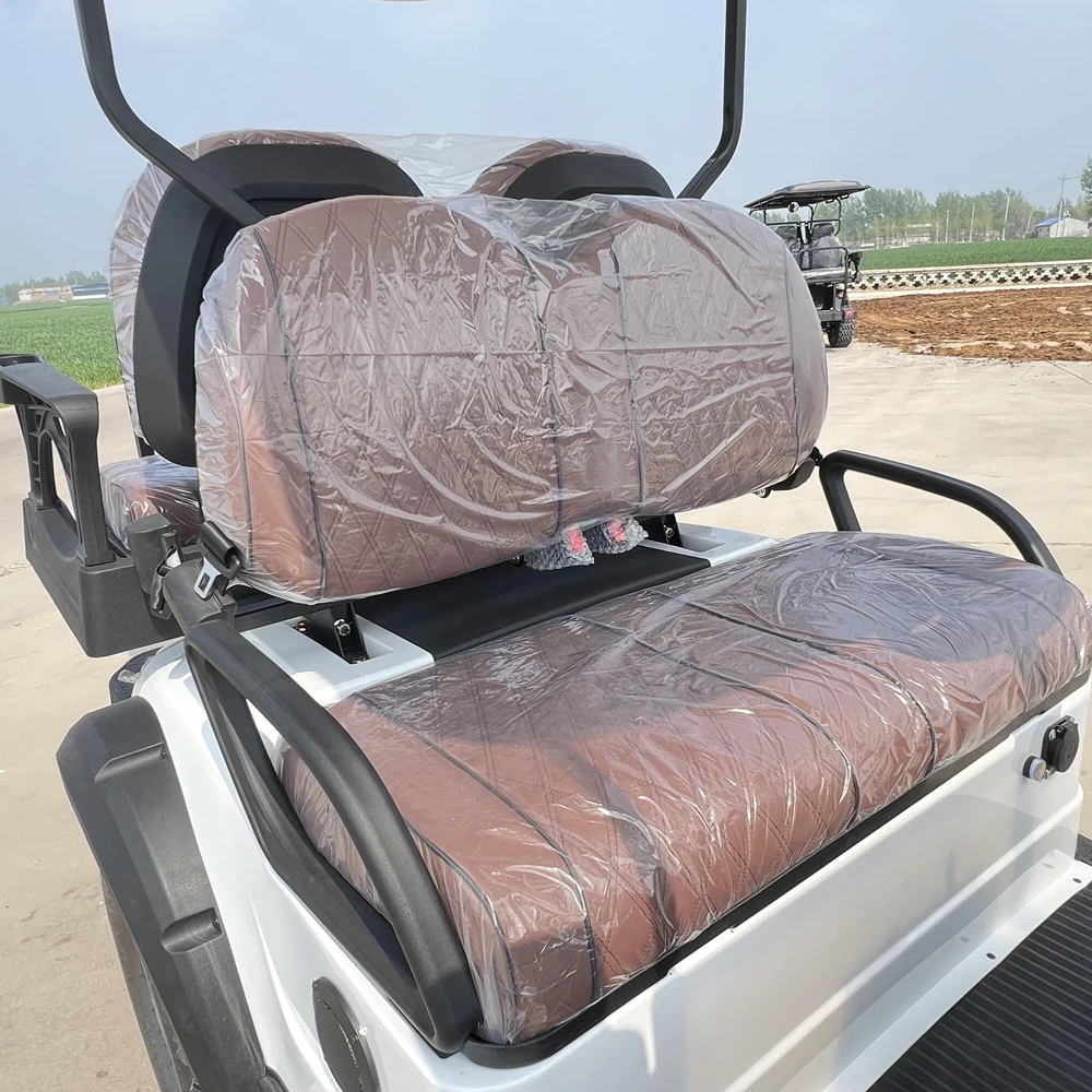 

2 4 Пассажира поднятый взрослый Электрический автомобиль 2024 новый дизайн литиевая батарея 4-местная тележка для гольфа