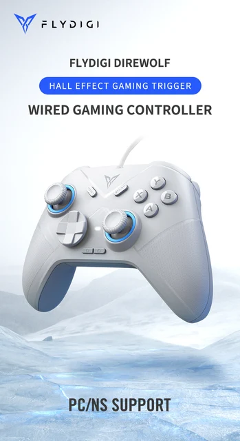  FLYDIGI Direwolf Wired Gaming Controller, Hall Lineness  Trigger, Hybrid 8 Directions D-Pad, Motion Sensing Function, Multi-Platform  Controller for Windows PC, Nintendo Switch, Steam, Xcloud Ect : Video Games