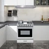Freestanding Gas Range Stove 30 inch Gas Cooktop Stove 5.56 cu.ft. Large Convection Oven,4 Burners 42000BTU Heavy Duty 6