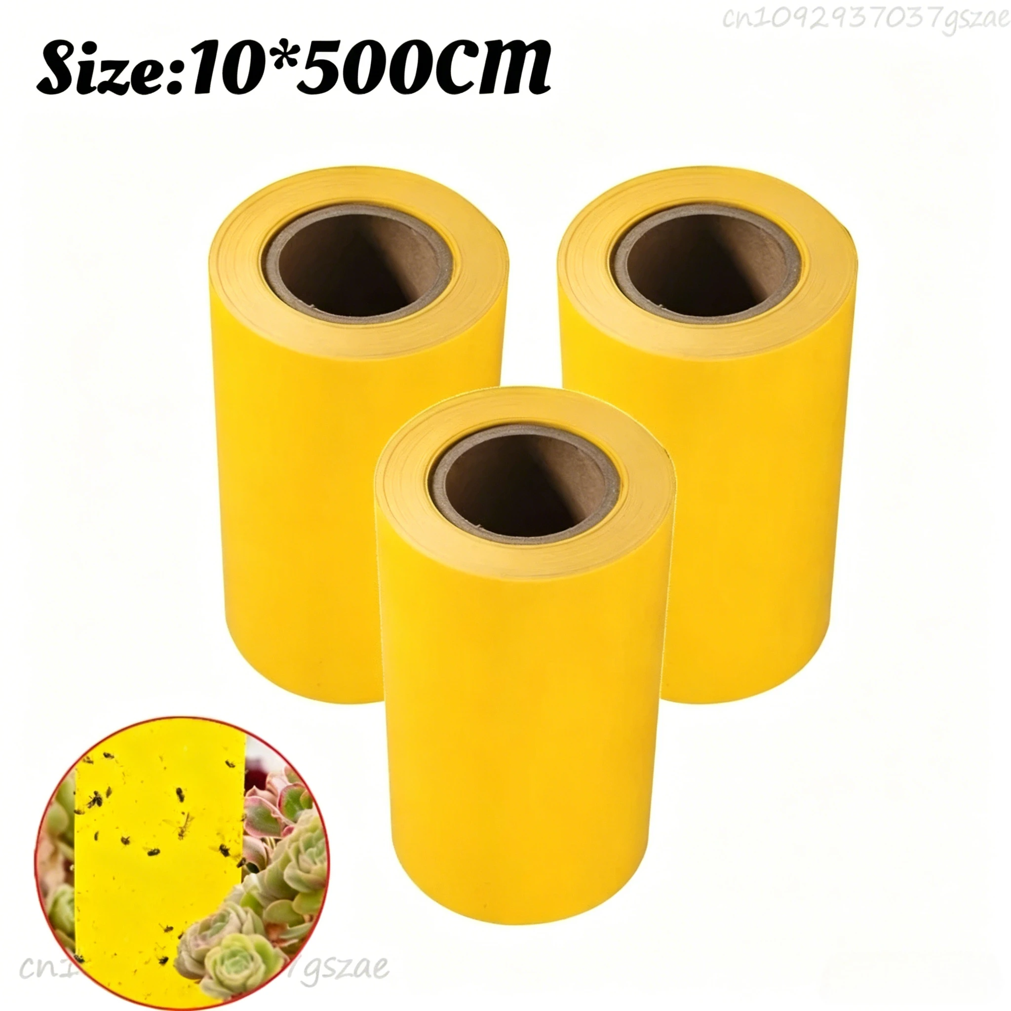 3Rolls(15M)