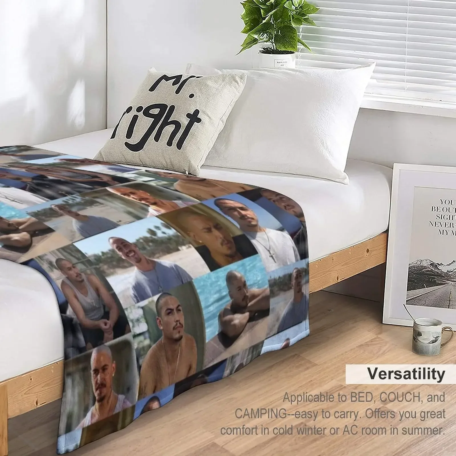 ��ǪŰ ����ī D OMB ��ô ���, �� ���Ÿ� �귣��, ���� ���� ���