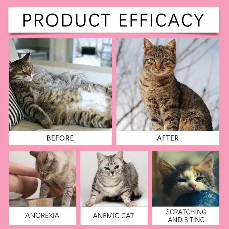 Nutrients For Kittens Supplement For Kittens 80pcs Balanced Diet Supplement Older Cats Cats Recovering From Or