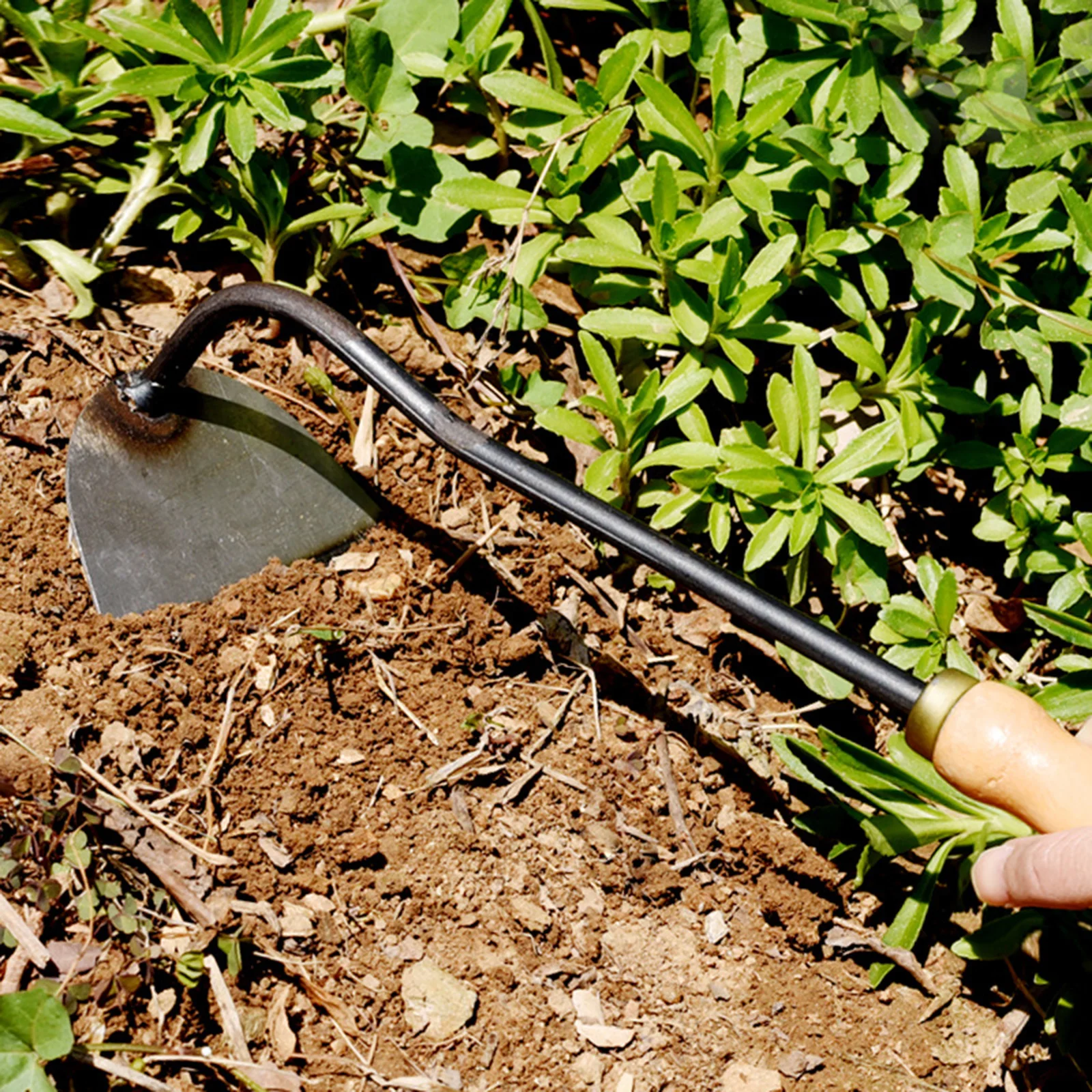 Garden Hoe Tool Wedding Gardening Steel Nonslip Handle Hand Hoe Weeder Hand Digger Cultivator for Farm Lawn Plants Yard Backyard 3