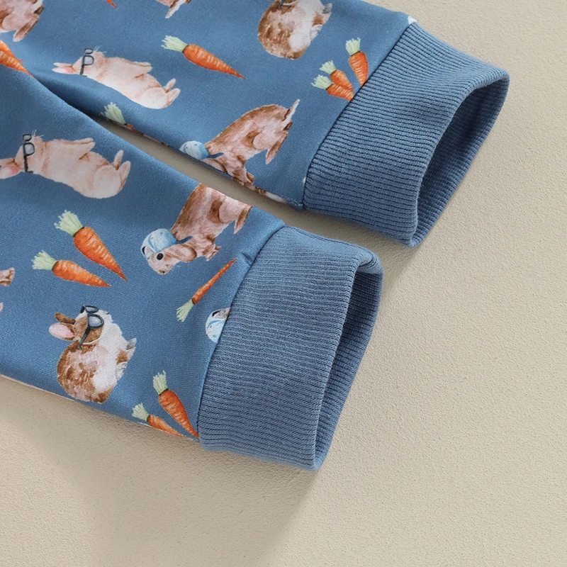 FOCUSNORM 0-3Y Autumn Toddler Boys Easter Clothes Sets 2pcs Long Sleeve Cartoon Rabbit Print Sweatshirt Carrot Pants
