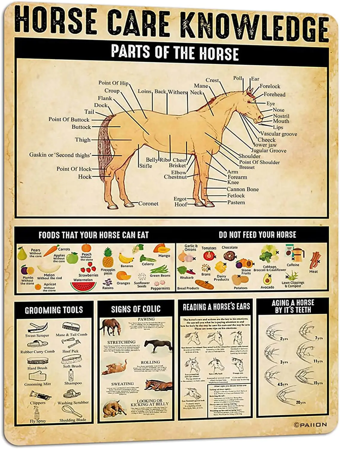 

Знания о уходе за лошадью PAIION, винтажные металлические жестяные знаки, детали лошади, плакат, клубный фермерский Настенный декор, украшение для гостиной