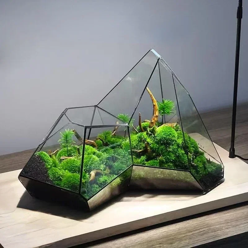 Micro Landscape Glass Vase Rainforest Terrarium Moss Planter Eco Vase Home Decor Geometric Glass Flower Room Hydroponic Vase