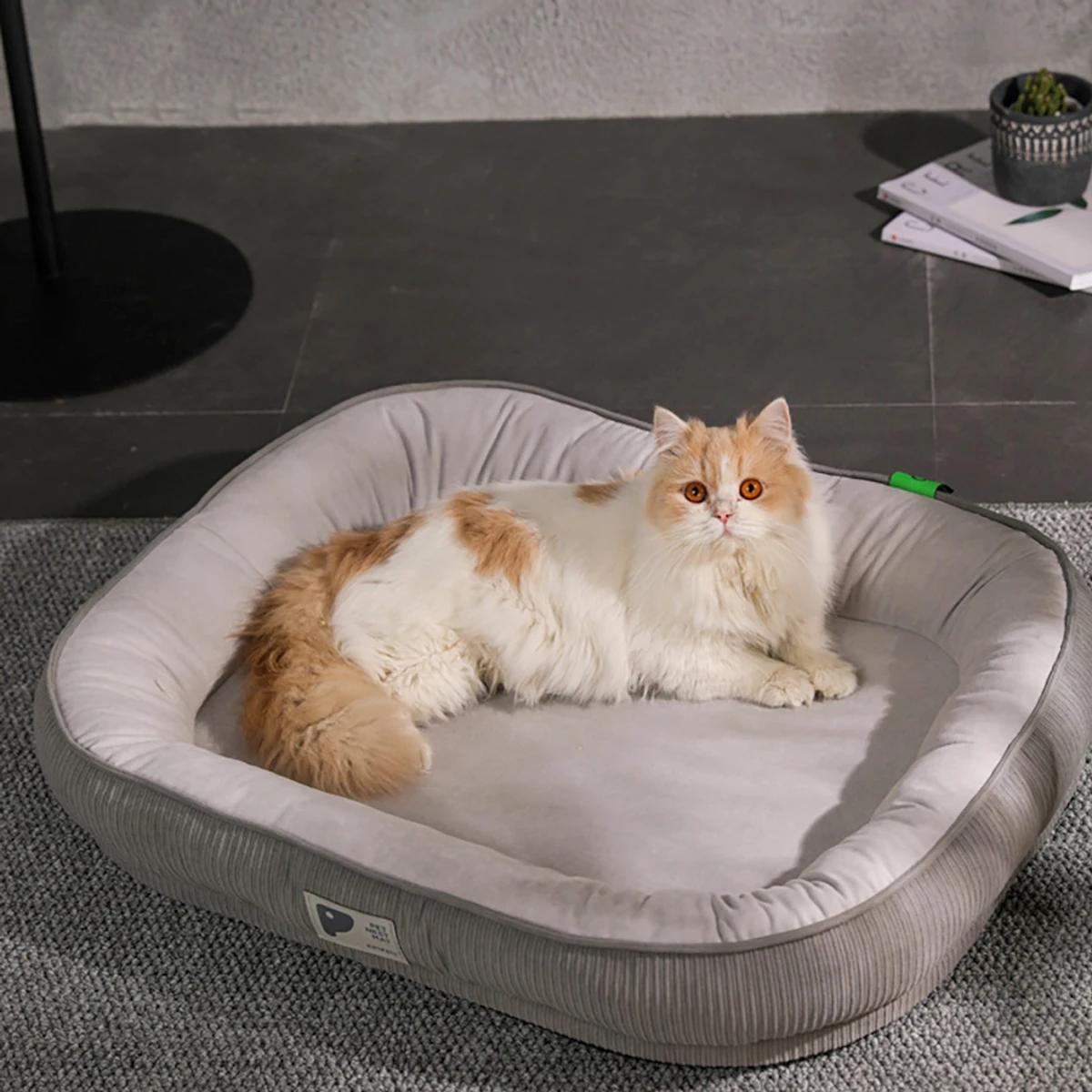 

Removable Cat Beds Washable Pet Bed for Small Medium Dogs Sofa Puppy Couch Calming Dog Bed Pet Sleeping Bag Winter Warm Cat Nest