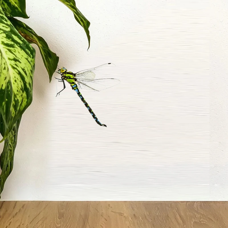 Realistic Insects Dragonfly Wall Sticker Bathroom Toilet Living Room Cabinet Refrigerator Home Decoration Decals Sticker wall stickers toilet stickers
