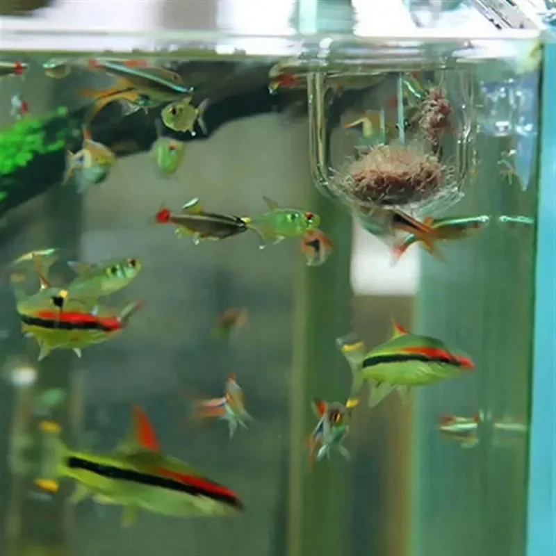 Aquarium Decoration Plant Cup Pot Acrylic Aquatic Plant Cup With Suction Holder Water Potted Planting Cup Aquarium Feeding Tool