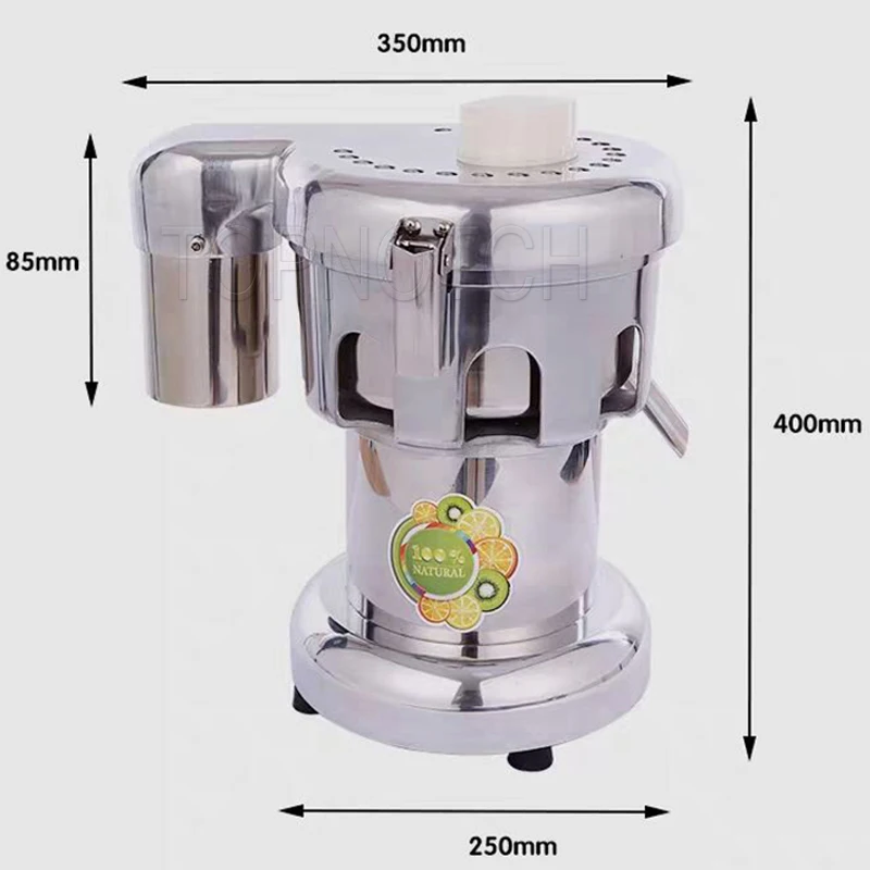 Electric Professional Slow Juicer Extractor Machine For Fruit Orange Squeezer Juicer Blender Stainless Steel 6