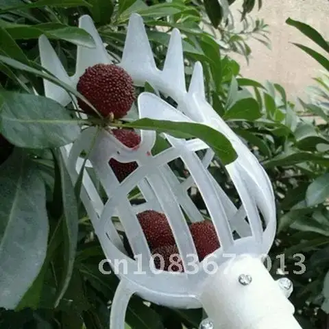 

Garden Tools Greenhouse Fruit Picker Fruit Collection Head Tool Bayberry Harvester Catcher Device Picking