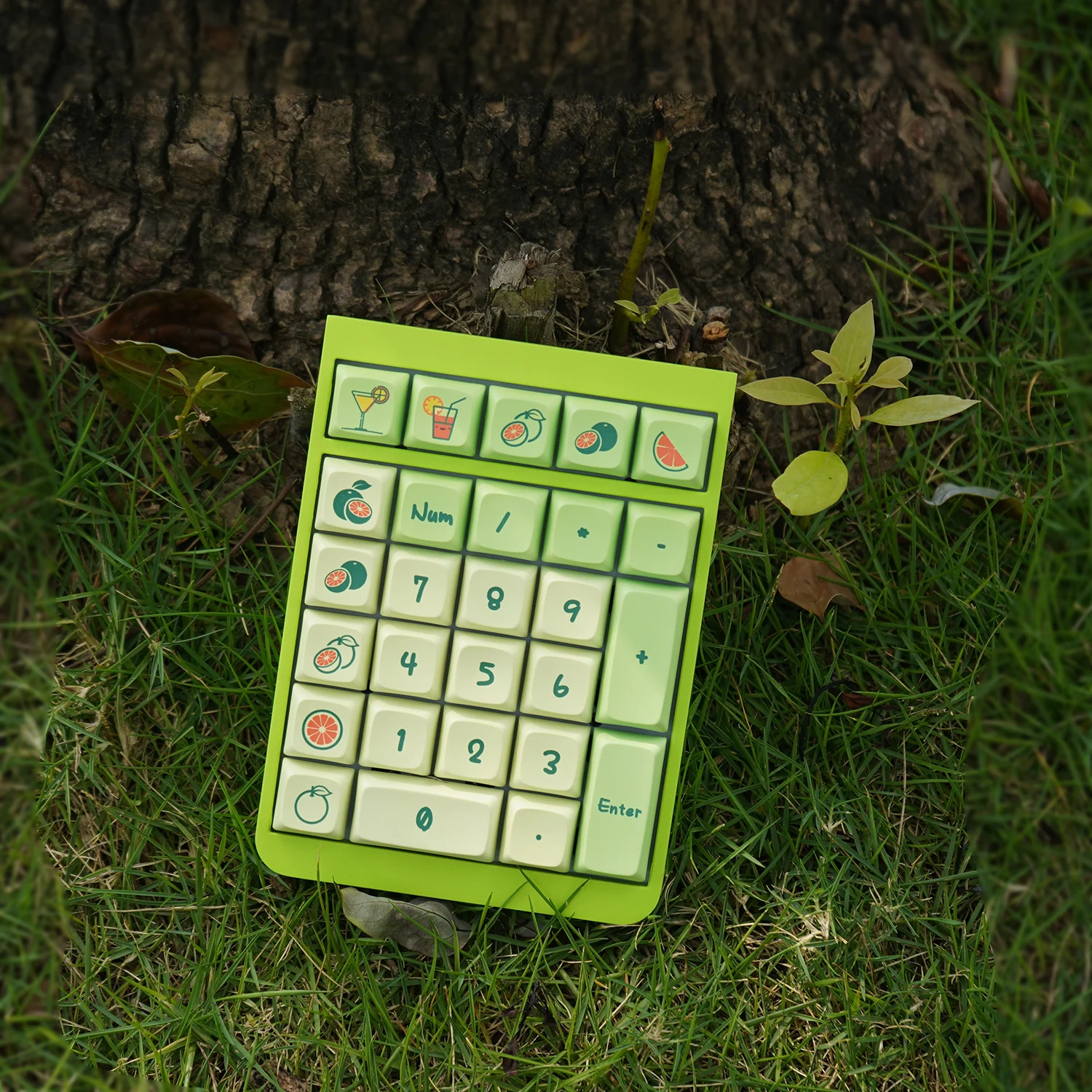 Home e Garden