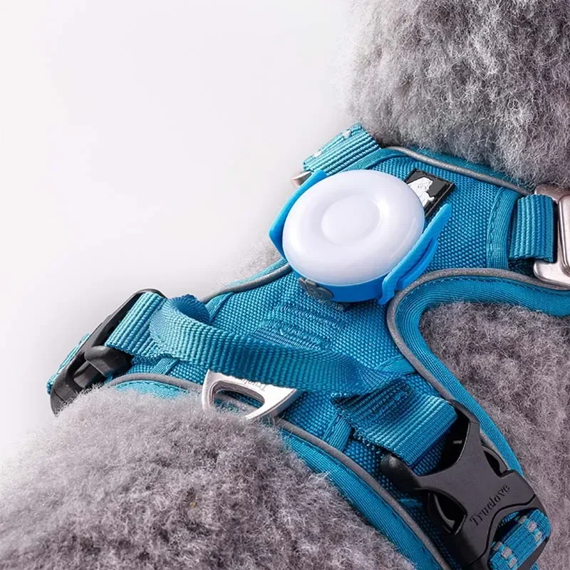 Pet Accessories Truelove Pet Outdoor Waterproof Safety LEDLIGHT Flash Light Dog Products TLD19103