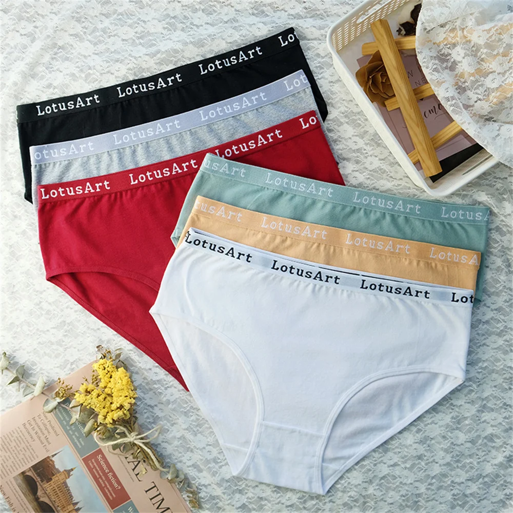 NWT Women's 95% Cotton 5% Spandex Briefs Underwear Sizes 2 x , 3 x