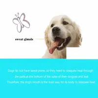 Adjustable Aggressive Dog Flat-Faced Anti Barking Face Mesh French Bulldog Pet Dog Muzzle Biting Chewing 2