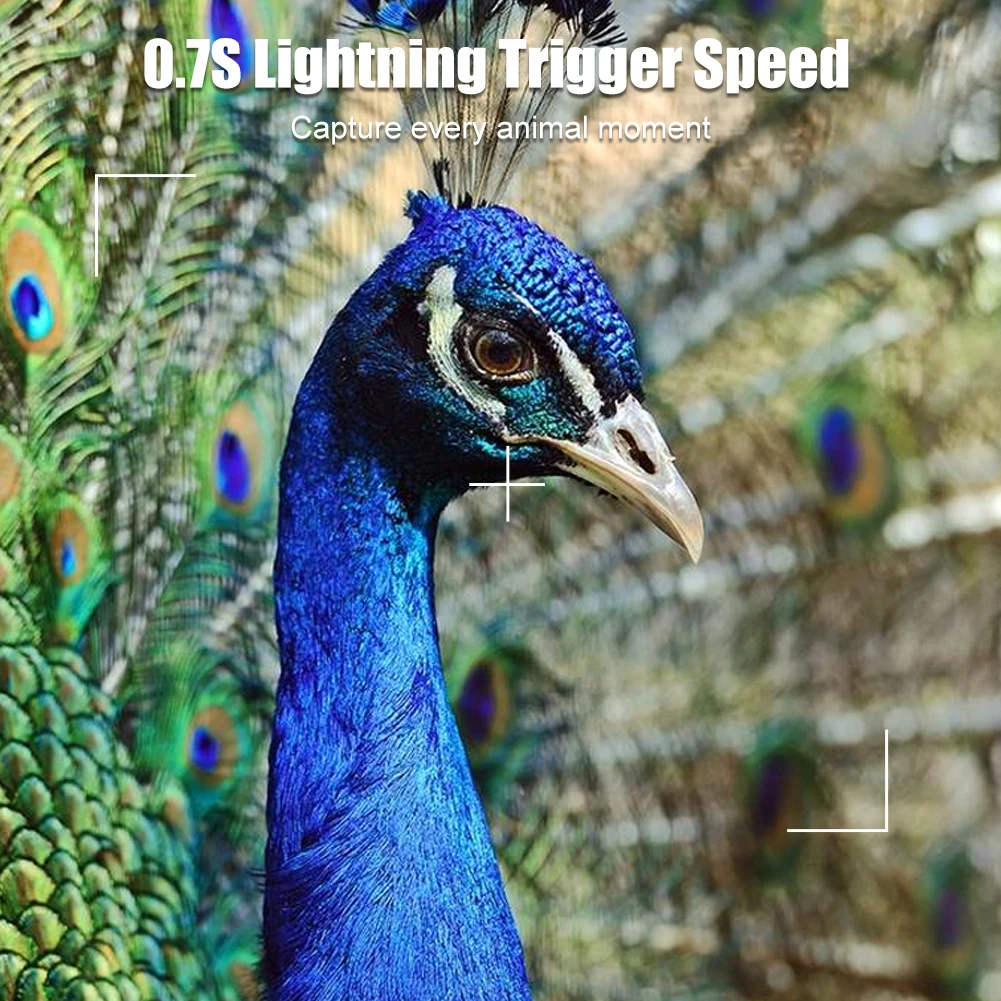 Mini Hunting Camera 16MP Wild Trail Camera Infrared Night Vision Outdoor Motion Activated Scouting 0.7S Trigger Photo Trap