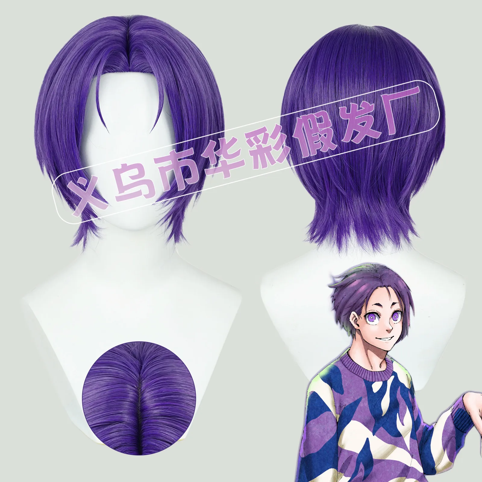 

BLUE LOCK Reo Mikage Cosplay Wig Short Pre Styled Purple Wig Cosplay Anime Cosplay Wigs Heat Resistant Synthetic Wigs