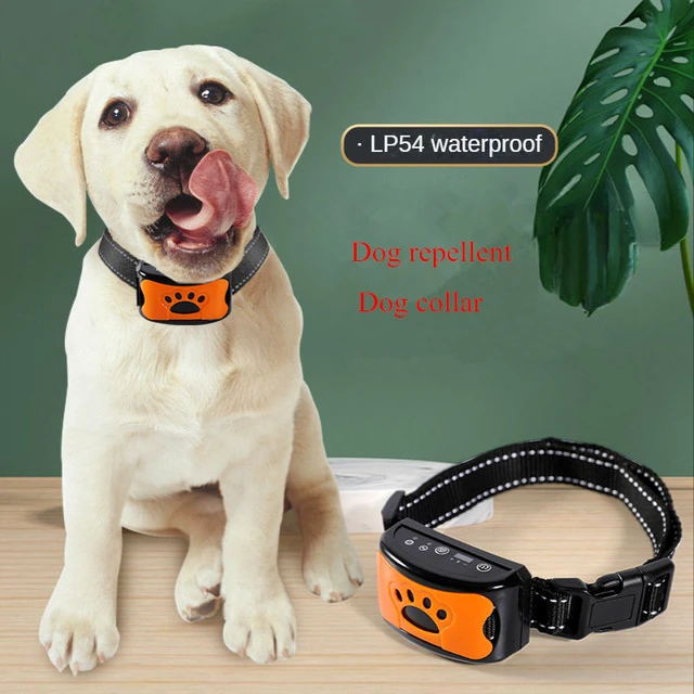 Répulsif électrique anti-aboiement pour chien de compagnie, dispositif USB  à ultrasons, collier d'entraînement pour
