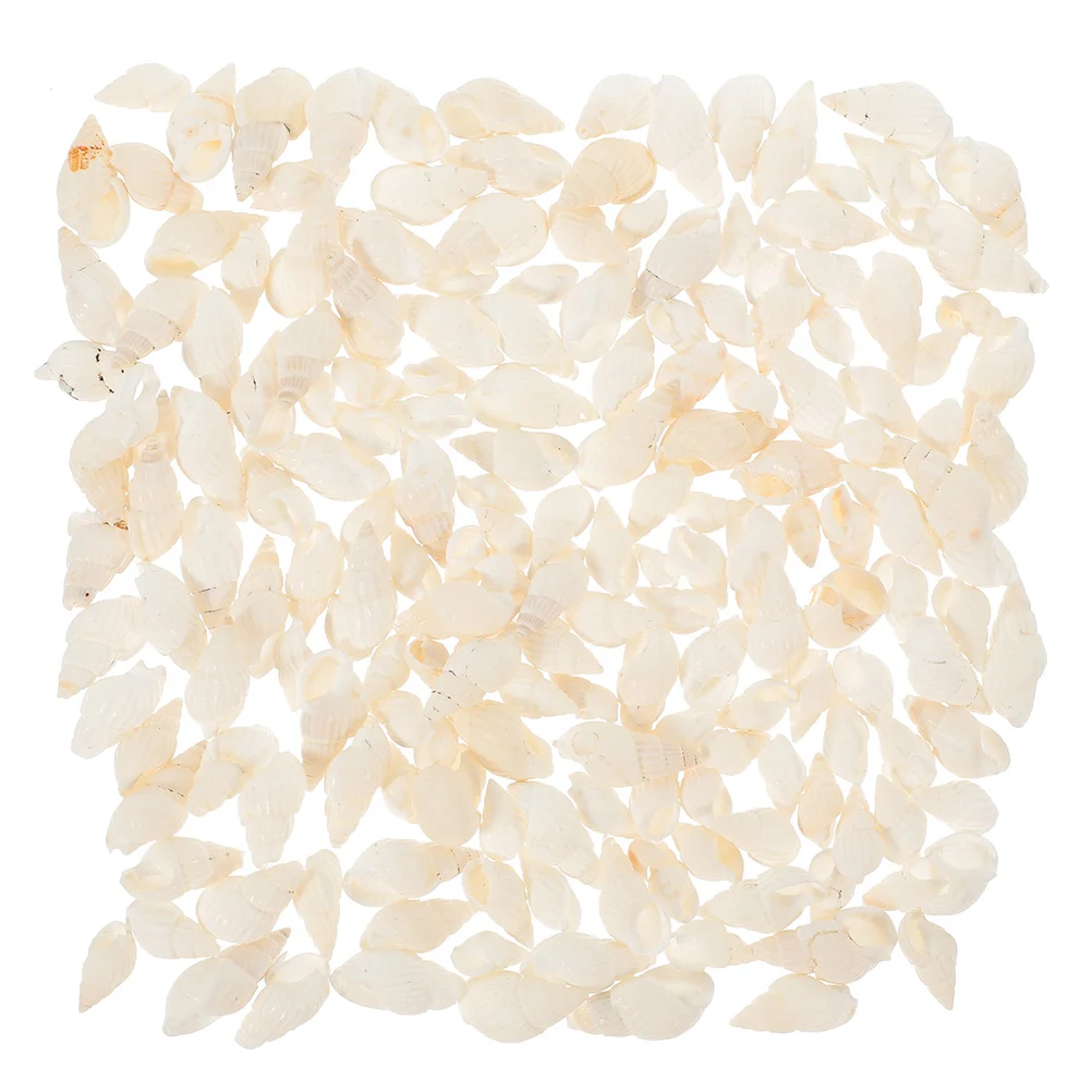 

400 Pcs Conch Aquarium Decoration Seashell Vase Filler Natural Decorations Household