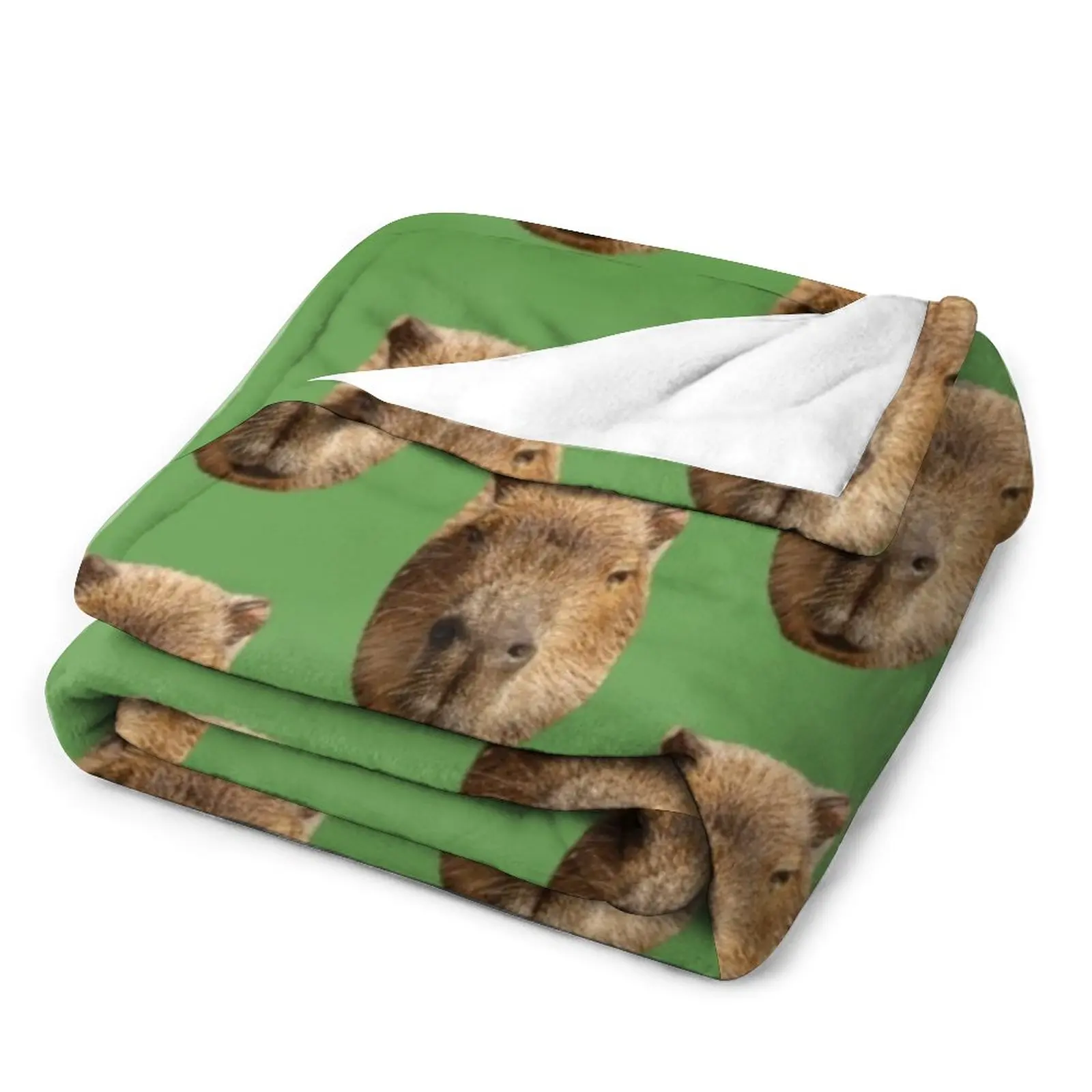 ���� Capybara �� ������ ��� ���� ���, �ε巯�� �÷��� ���� ���� �Ϳ��� ���