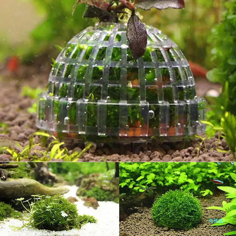 Aquatic Pet Supplies Decorations 1pc