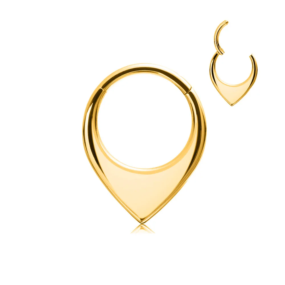Titanium Earring 16G Snake Bee Moon Flame Septum Piercing Heart Tusk Helix Hinged Daith Conch Opal Hoop Nose Ring