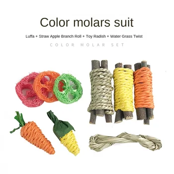 Pet Dental Chew Toy Set 1