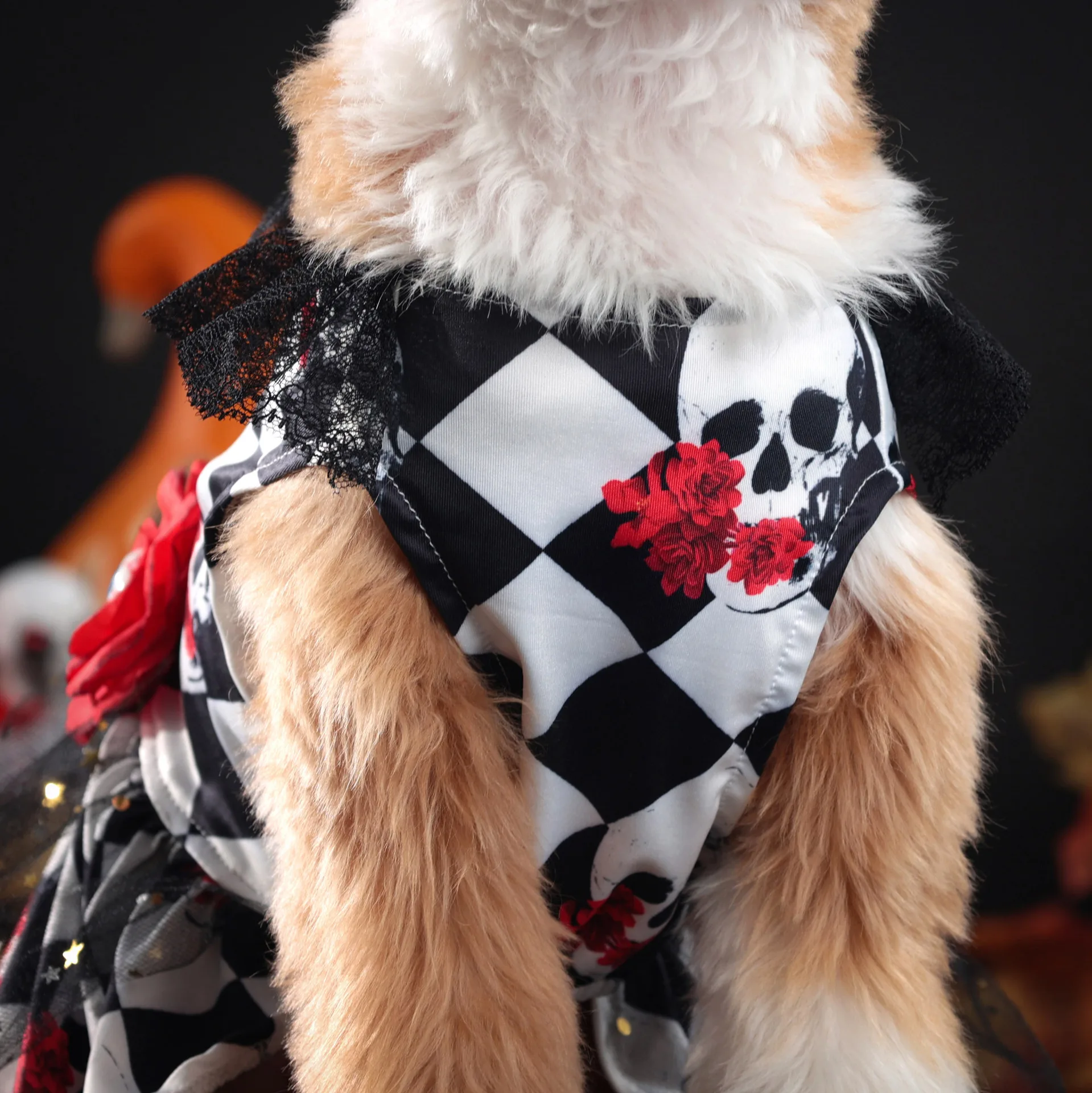 Robe Halloween Damier Noir Et Blanc Squelette Avec Fleurs - 2025 - Vêtement et accessoires pour chiens - Doglovedesign