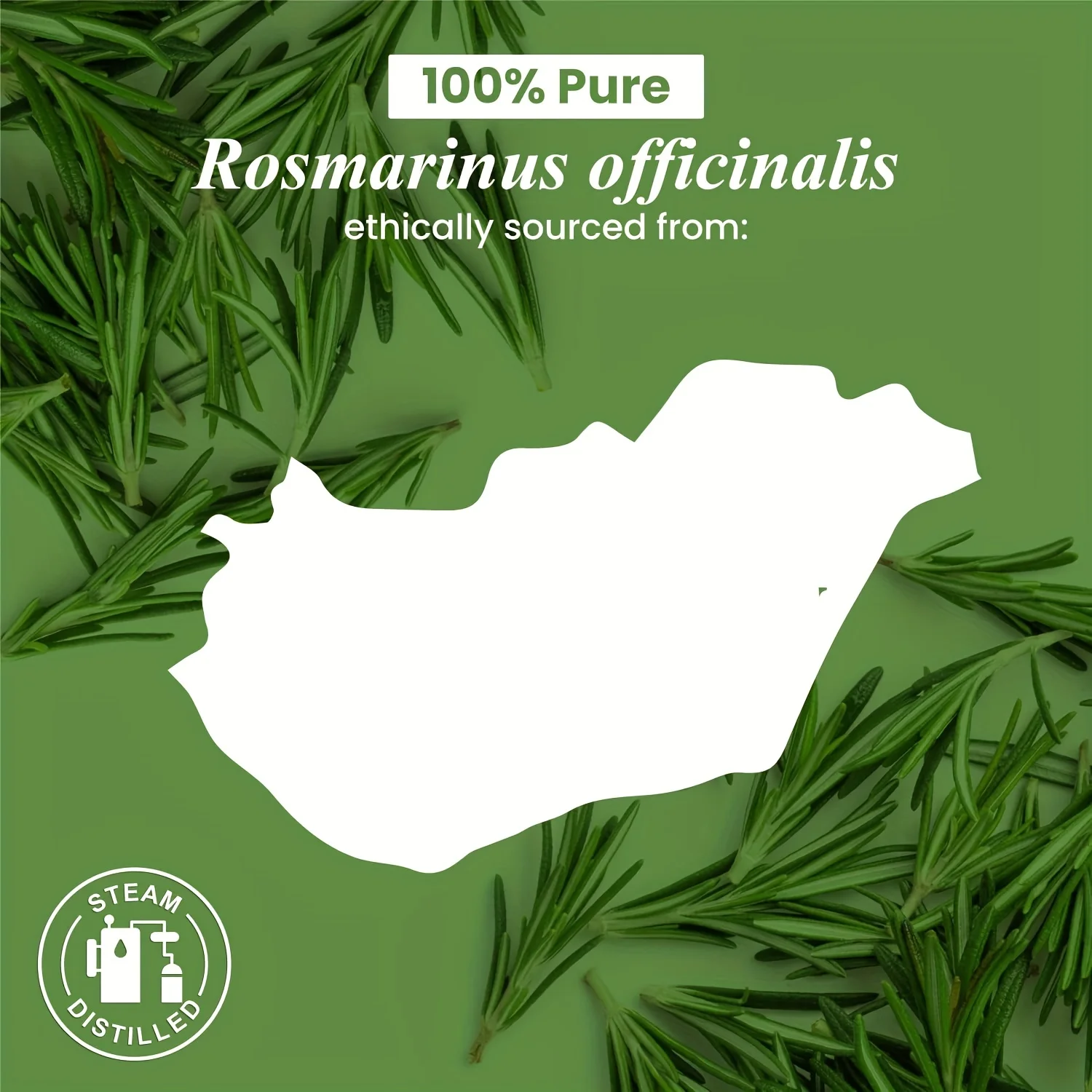 Rosemary Essential Oil Pure and Natural Premium Therapeutic Grade with Premium Glass Dropper