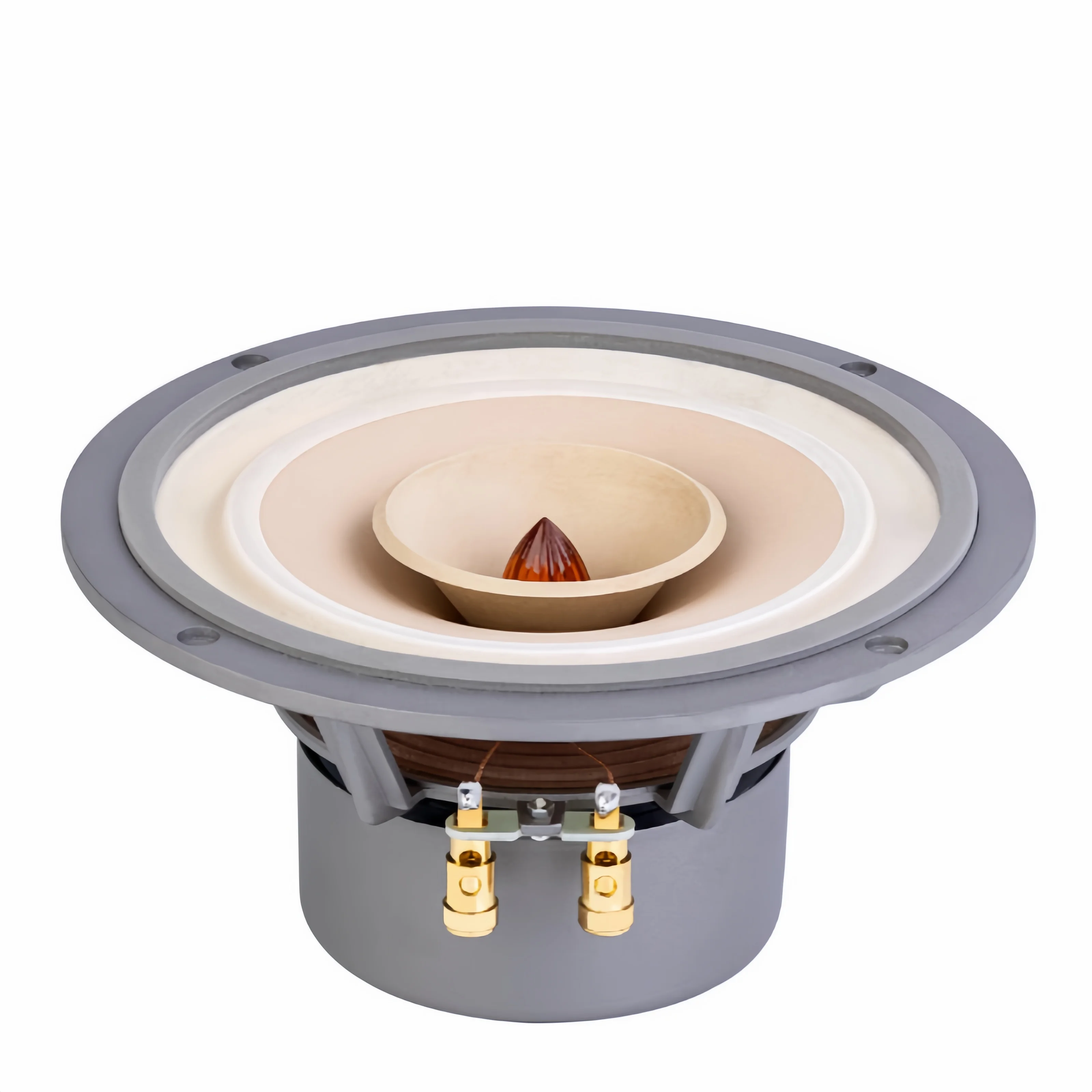 A-007 LiiSong Fast-8 8 Inch Full Frequency Speaker 30-60W 8 Ohm Fullrange Drivers （1 Pair）
