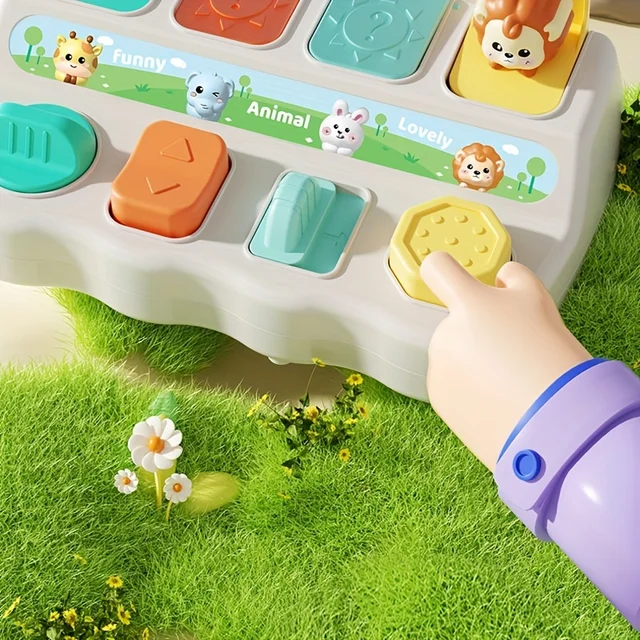 Pop up Animal and Learning Toys 3