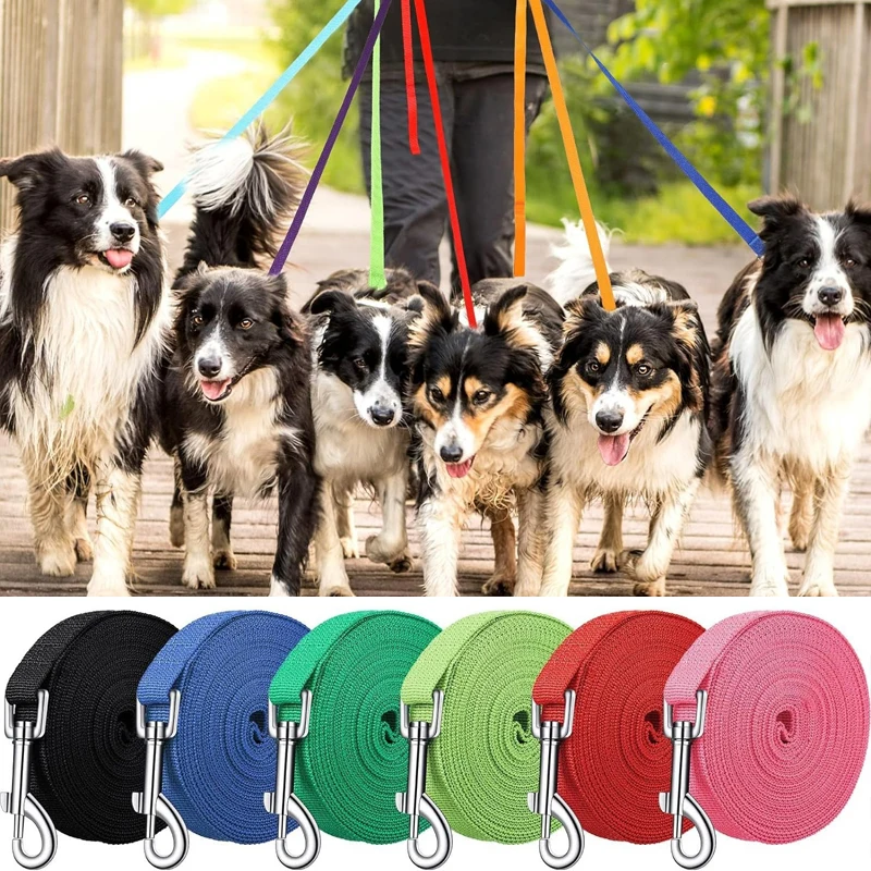 24 Pack Nylon Dog Leashes - 5 Ft Training Leash For Small & Medium Dogs, 12 Assorted Colors