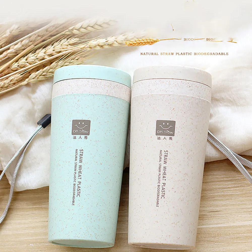 1 개 300ML 밀 짚 이중 절연 선물 머그잔 뚜껑이 있는 텀블러 친환경 여행 머그잔 커피 겨울 보온병 컵 물병