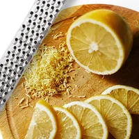 Broyeur à fromage portatif, râpe à ail en acier inoxydable, broyeur de légumes et de fruits, zesteur de citron, agrumes, gingembre, outils de broyage du fromage 5