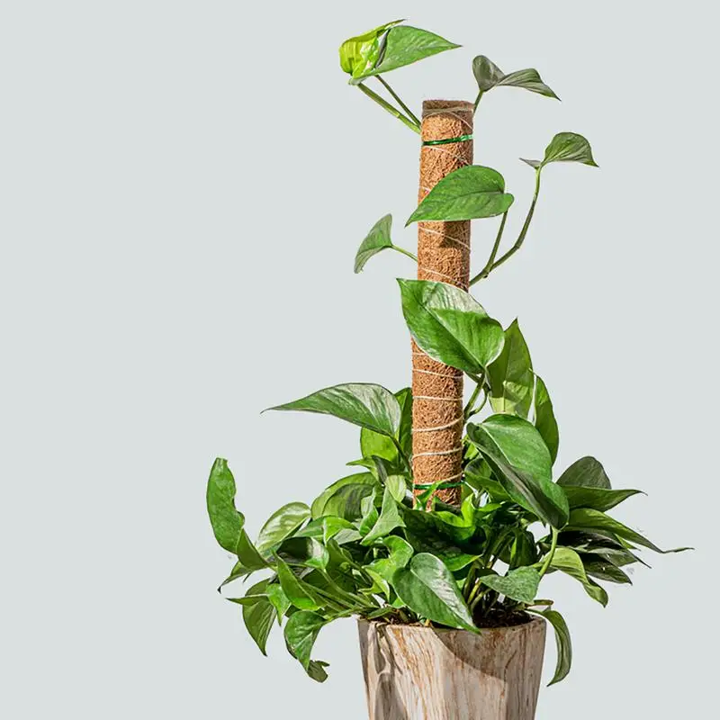 304050cm Natural Coconut Palm Stick Plant Climbing Frame Home Garden Balcony Creeper Support Frame Greenhouse Flower