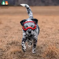 Dog Goggles Dog Sunglasses Glasses for Dogs Dog Ski Goggles with UV Protection Pet Sunglasses with Adjustable Strap for Travel 6